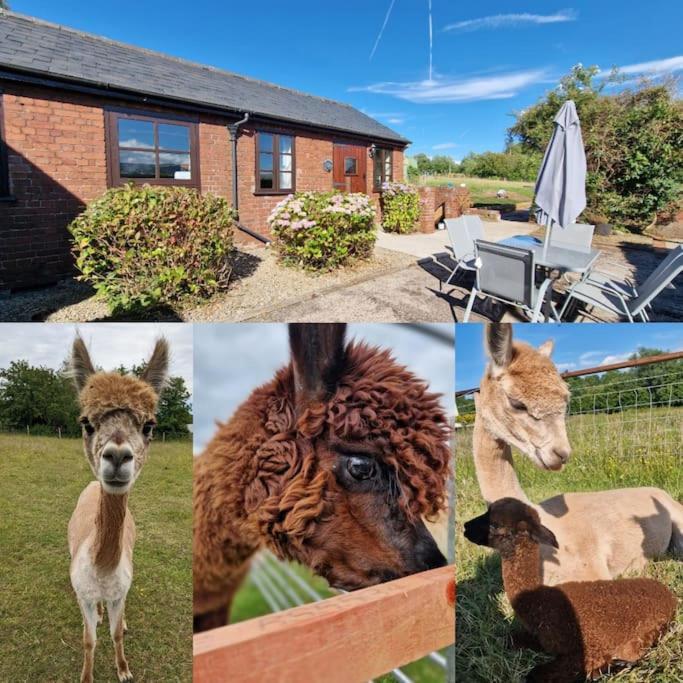 Swallows Nest Guest House - With Hot Tub Abergavenny Extérieur photo